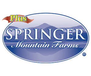 Springer Plus
